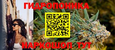 бошки Абинск
