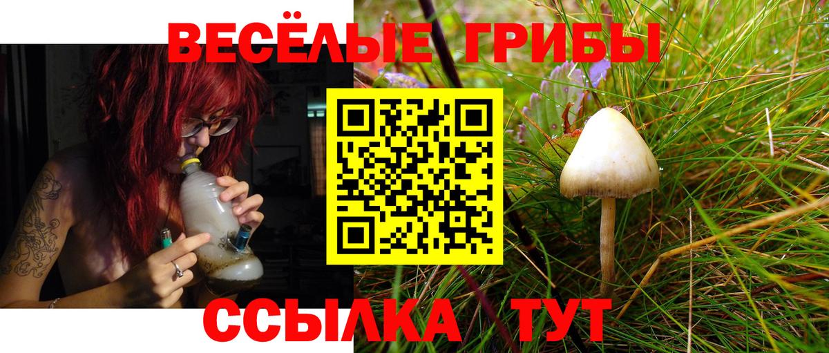 Галлюциногенные грибы Magic Shrooms Алушта
